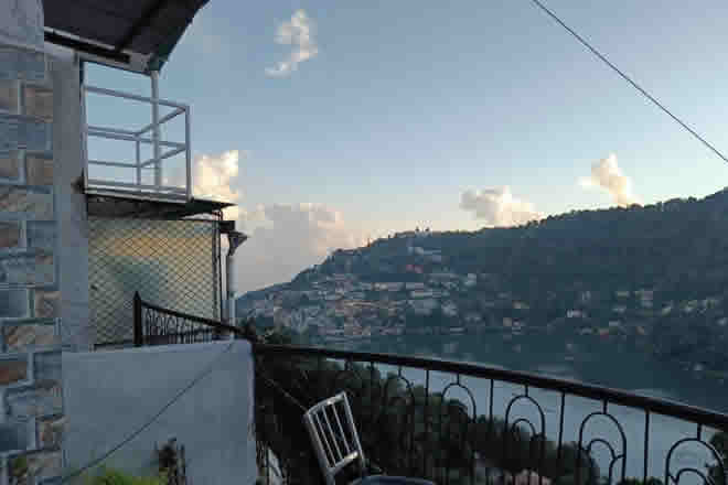 Nainital Willows 