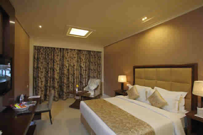 DLG FAMILY SUITE